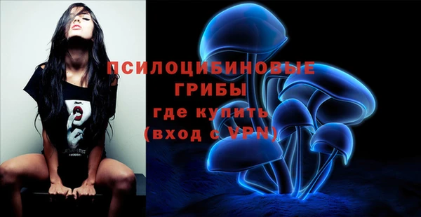 дурь Верхний Тагил